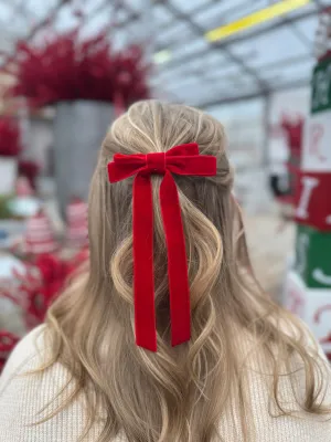 Red Velvet Bow